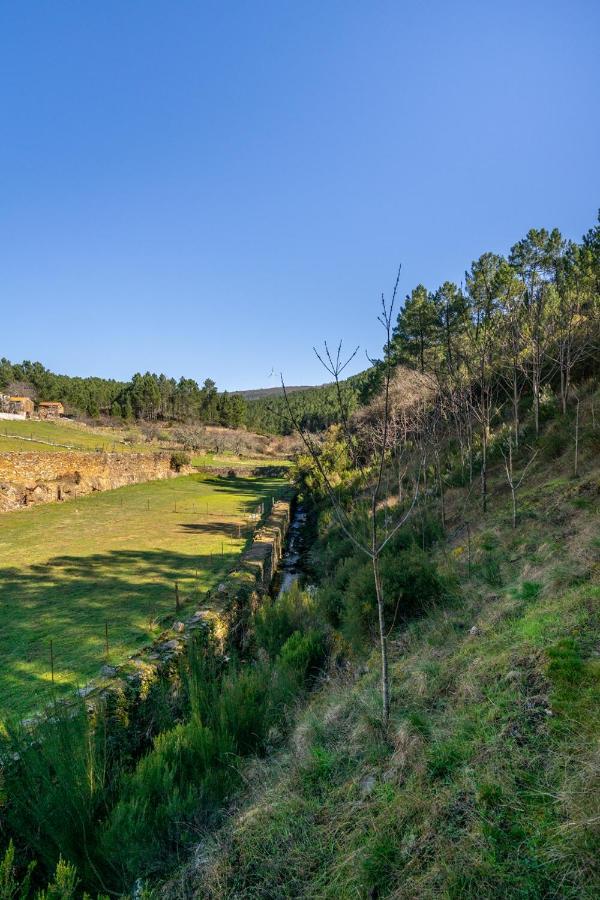 Aradas, Pampilhosa Da Serra, Casa Da Oliveira, Wifi, Ar Condicionado, Churrasqueira, Parqueamento, By Ig Villa Unhais-o-Velho Ngoại thất bức ảnh